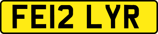 FE12LYR