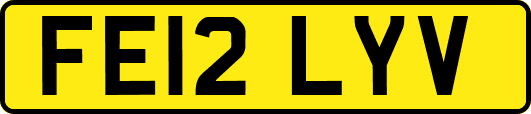 FE12LYV