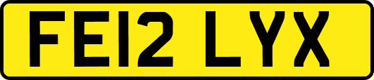 FE12LYX