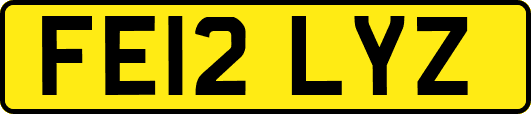 FE12LYZ