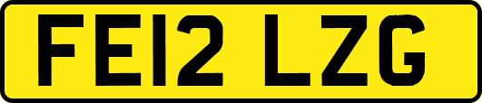 FE12LZG
