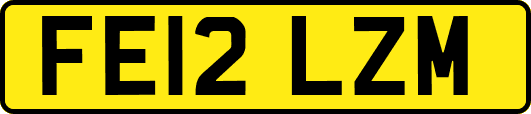 FE12LZM