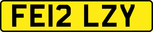 FE12LZY
