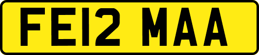 FE12MAA