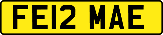 FE12MAE