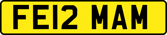 FE12MAM