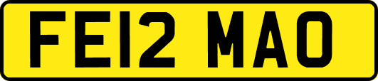 FE12MAO