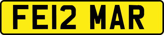 FE12MAR