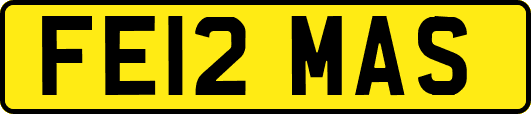 FE12MAS