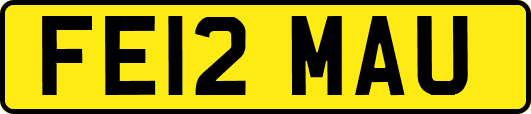 FE12MAU
