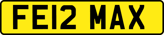 FE12MAX