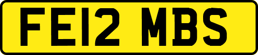 FE12MBS