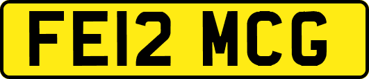 FE12MCG