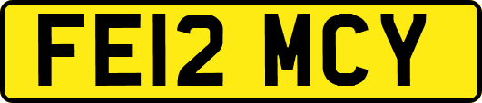 FE12MCY