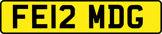 FE12MDG