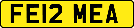 FE12MEA