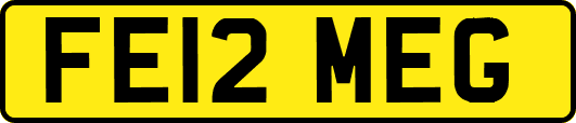 FE12MEG