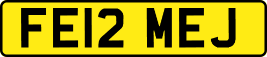 FE12MEJ