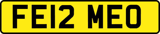 FE12MEO