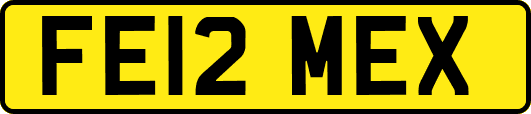 FE12MEX