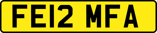 FE12MFA