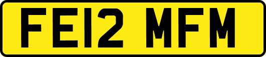 FE12MFM