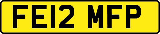 FE12MFP