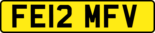 FE12MFV
