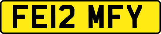 FE12MFY