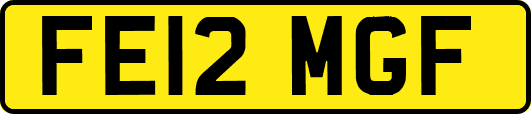 FE12MGF