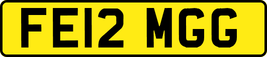 FE12MGG