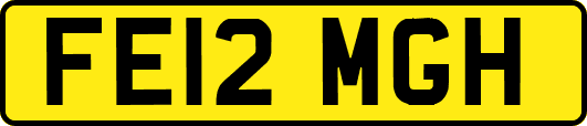 FE12MGH