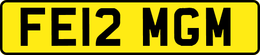FE12MGM
