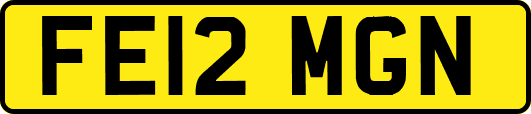 FE12MGN