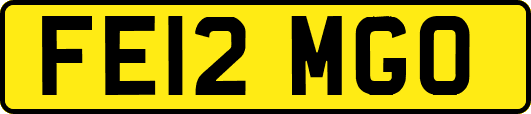 FE12MGO
