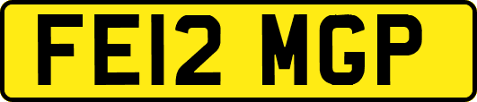 FE12MGP