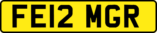 FE12MGR
