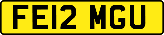 FE12MGU