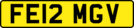 FE12MGV