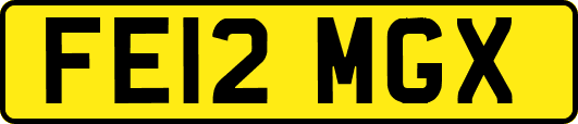 FE12MGX