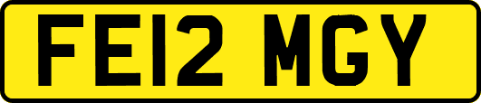 FE12MGY
