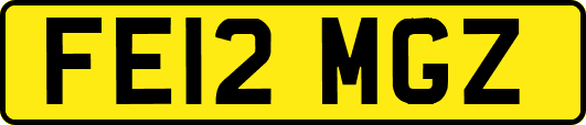 FE12MGZ