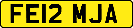 FE12MJA