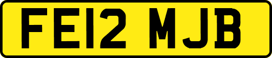 FE12MJB