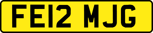 FE12MJG
