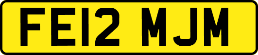 FE12MJM