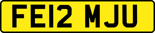 FE12MJU