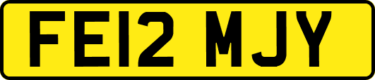 FE12MJY