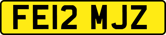 FE12MJZ