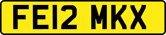 FE12MKX